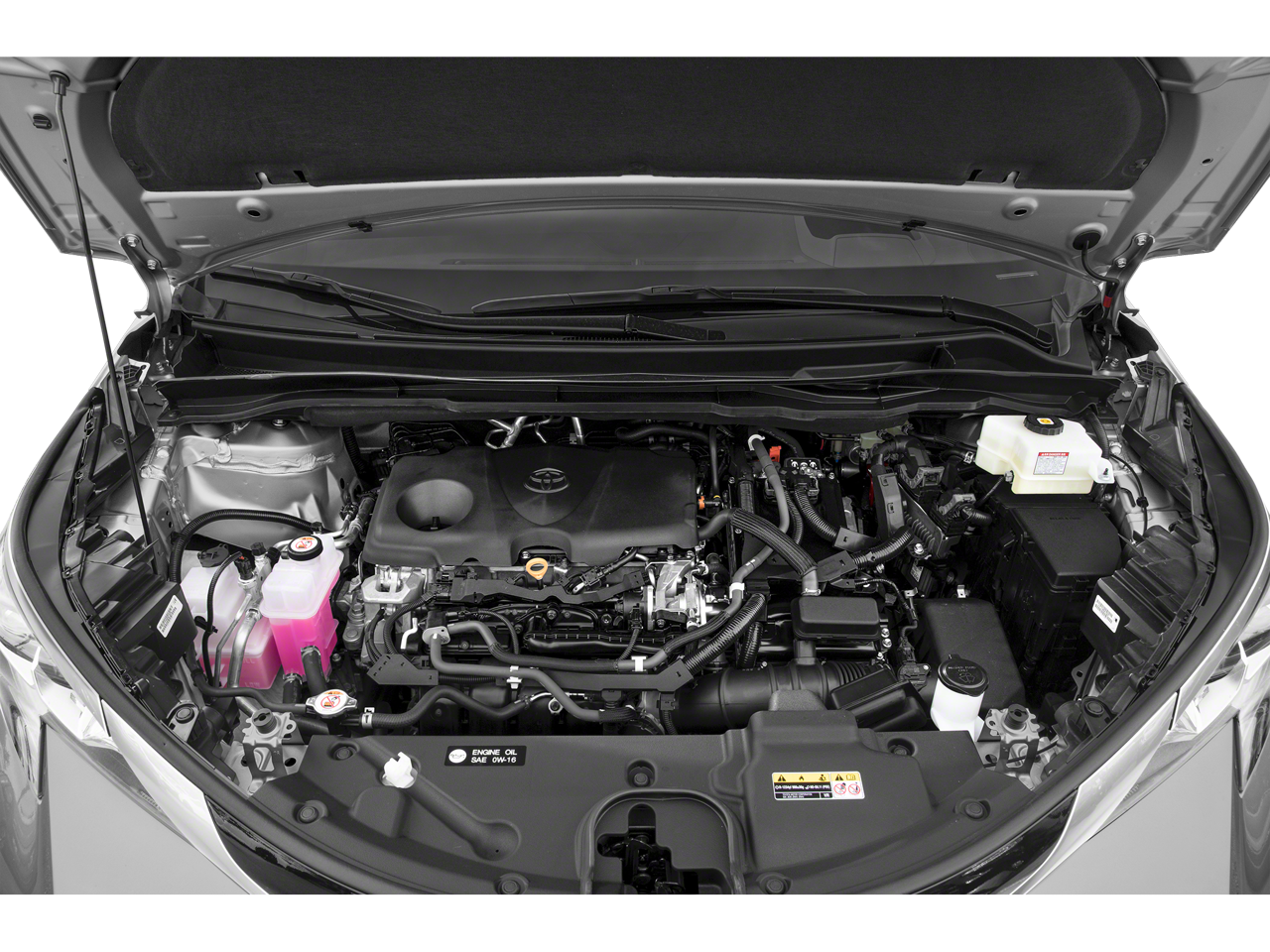2023 Toyota Sienna Platinum 7 Passenger