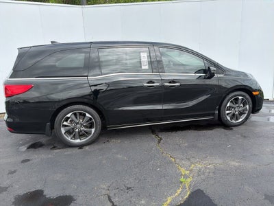 2024 Honda Odyssey Elite